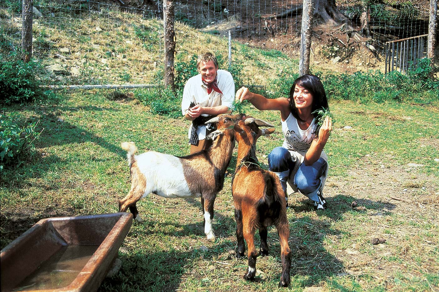 Herzlich willkommen in der Pension Schönblick in Ried im Zillertal.